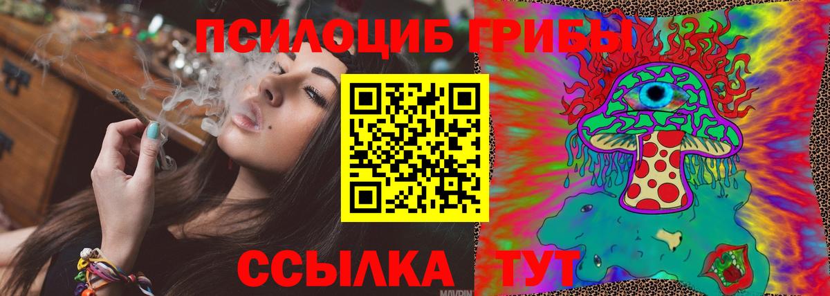 Сердобск  где продают наркотики  Вход с VPN  Галлюциногенные грибы GOLDEN TEACHER 